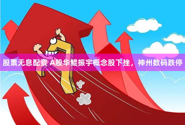 股票无息配资 A股华鲲振宇概念股下挫，神州数码跌停