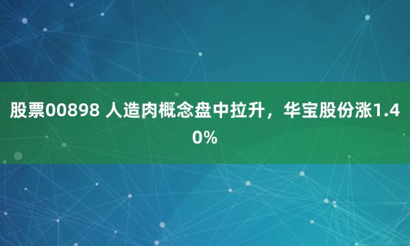 股票00898 人造肉概念盘中拉升，华宝股份涨1.40%