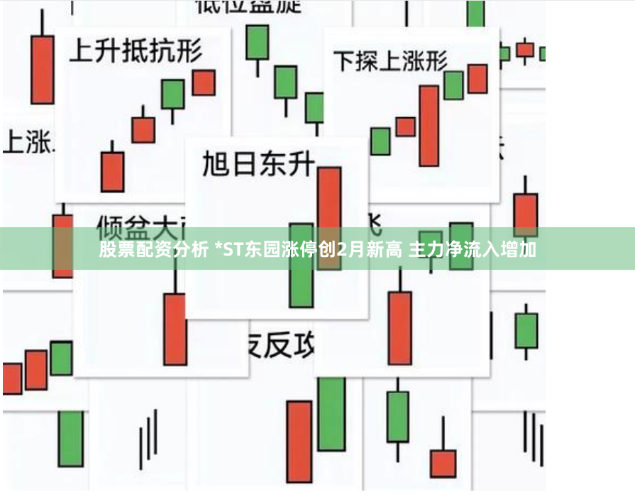 股票配资分析 *ST东园涨停创2月新高 主力净流入增加