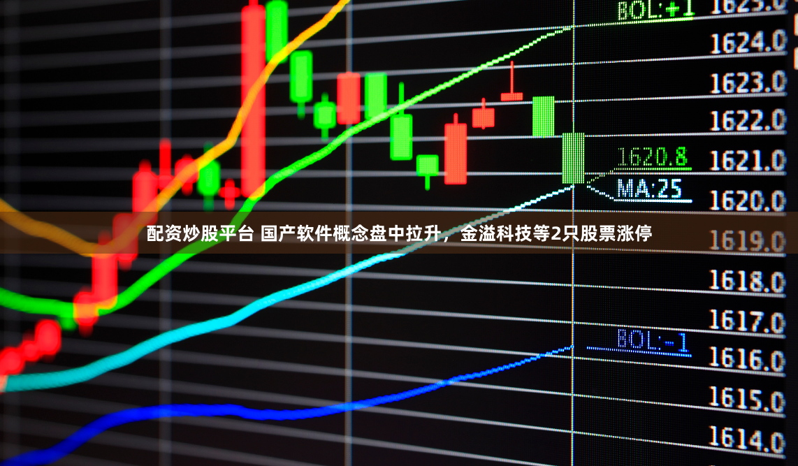 配资炒股平台 国产软件概念盘中拉升，金溢科技等2只股票涨停